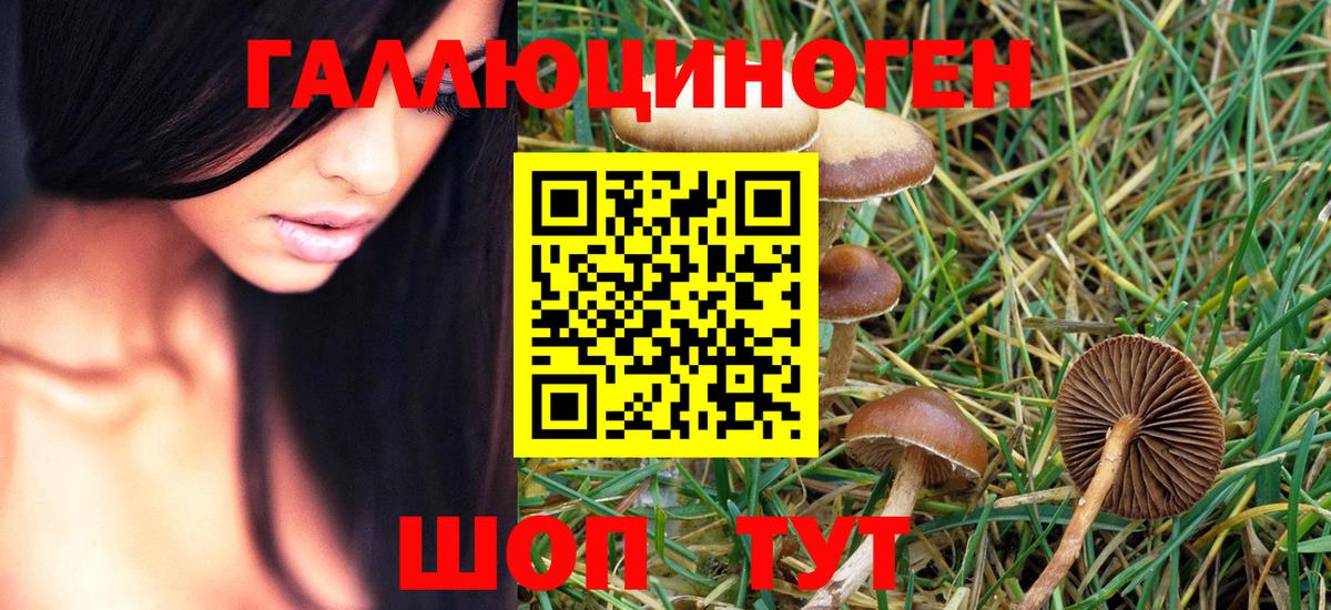 Псилоцибиновые грибы GOLDEN TEACHER Егорьевск