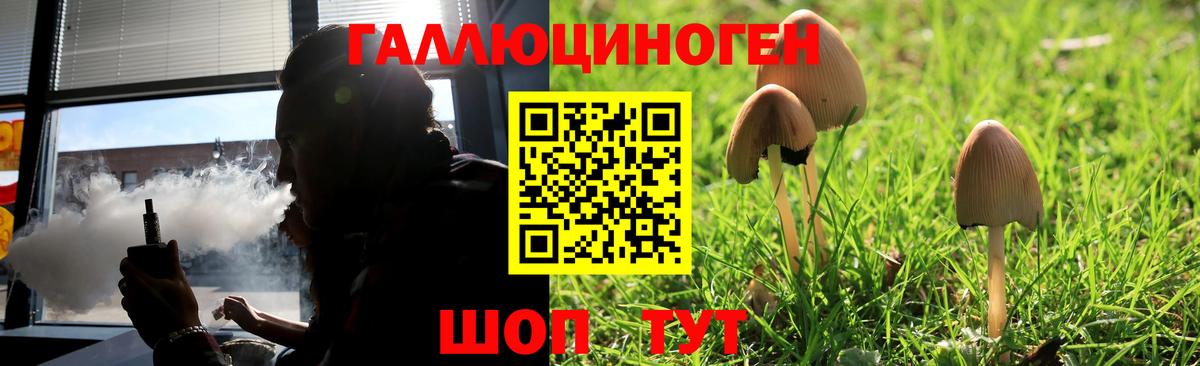 Псилоцибиновые грибы Magic Shrooms  Галлюциногенные грибы мухоморы  Егорьевск  Вход с VPN 